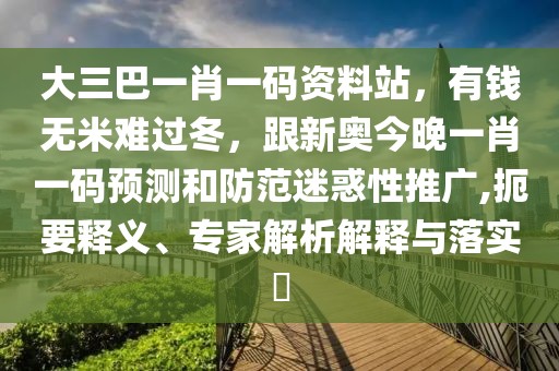 大三巴一肖一碼資料站,有錢無米難過冬,跟新奧今晚一肖一碼預測和防范迷惑性推廣,扼要釋義、專家解析解釋與落實?