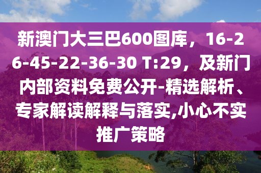 新澳門大三巴600圖庫，16-26-45-22-36-30 T:29，及新門內(nèi)部資料免費(fèi)公開-精選解析、專家解讀解釋與落實,小心不實推廣策略