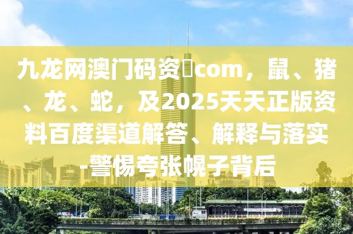 九龍網澳門碼資枓com，鼠、豬、龍、蛇，及2025天天正版資料百度渠道解答、解釋與落實-警惕夸張幌子背后