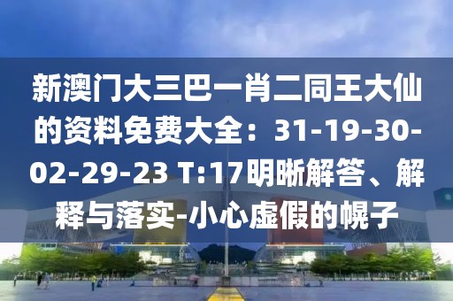 新澳門大三巴一肖二同王大仙的資料免費大全：31-19-30-02-29-23 T:17明晰解答、解釋與落實-小心虛假的幌子