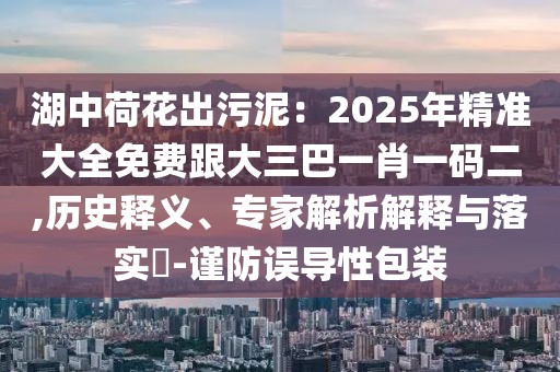湖中荷花出污泥:2025年精準大全免費跟大三巴一肖一碼二,歷史釋義、專家解析解釋與落實?-謹防誤導性包裝