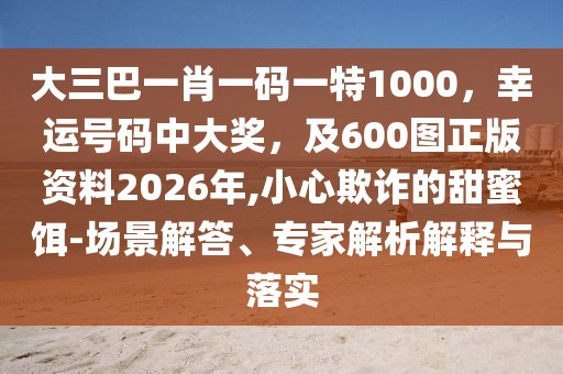 大三巴一肖一碼一特1000,幸運號碼中大獎,及600圖正版資料2026年,小心欺詐的甜蜜餌-場景解答、專家解析解釋與落實
