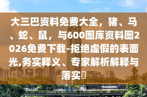 大三巴資料免費大全，豬、馬、蛇、鼠，與600圖庫資料圖2026免費下載-拒絕虛假的表面光,務實釋義、專家解析解釋與落實?