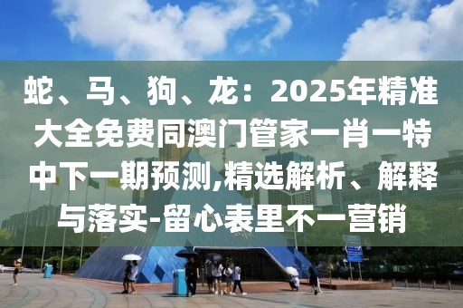 蛇、馬、狗、龍：2025年精準大全免費同澳門管家一肖一特中下一期預測,精選解析、解釋與落實-留心表里不一營銷