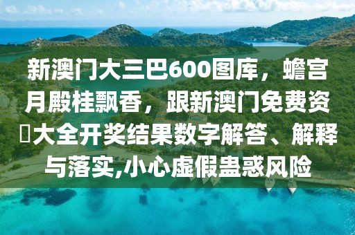 新澳門(mén)大三巴600圖庫(kù)，蟾宮月殿桂飄香，跟新澳門(mén)免費(fèi)資枓大全開(kāi)獎(jiǎng)結(jié)果數(shù)字解答、解釋與落實(shí),小心虛假蠱惑風(fēng)險(xiǎn)