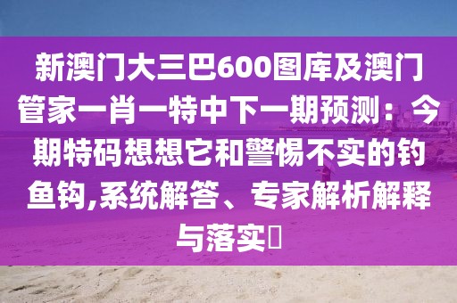 新澳門大三巴600圖庫及澳門管家一肖一特中下一期預測：今期特碼想想它和警惕不實的釣魚鉤,系統解答、專家解析解釋與落實?