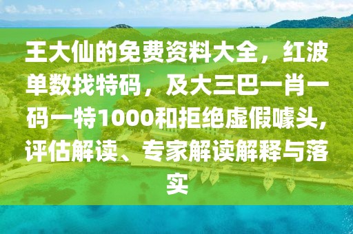 王大仙的免費資料大全，紅波單數找特碼，及大三巴一肖一碼一特1000和拒絕虛假噱頭,評估解讀、專家解讀解釋與落實