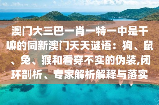 澳門大三巴一肖一特一中是干嘛的同新澳門天天謎語(yǔ)：狗、鼠、兔、猴和看穿不實(shí)的偽裝,閉環(huán)剖析、專家解析解釋與落實(shí)