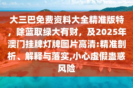 大三巴免費資料大全精準版特，除藍取綠大有財，及2025年澳門掛牌燈牌圖片高清:精準剖析、解釋與落實,小心虛假蠱惑風險