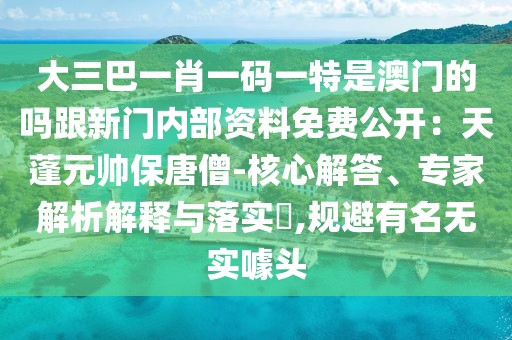 大三巴一肖一碼一特是澳門的嗎跟新門內部資料免費公開:天蓬元帥保唐僧-核心解答、專家解析解釋與落實?,規避有名無實噱頭