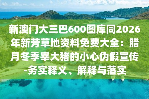 新澳門(mén)大三巴600圖庫(kù)同2026年新芳草地資料免費(fèi)大全：臘月冬季宰大豬的小心偽假宣傳-務(wù)實(shí)釋義、解釋與落實(shí)