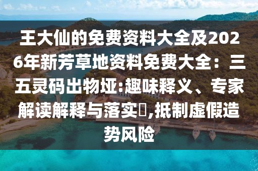 王大仙的免費資料大全及2026年新芳草地資料免費大全：三五靈碼出物埡:趣味釋義、專家解讀解釋與落實?,抵制虛假造勢風險